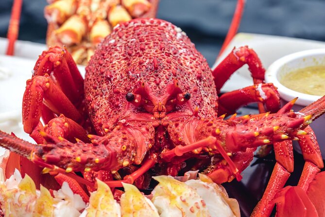 Tasmanian Seafood Gourmet Full-Day Cruise Including Lunch - How the seven to eight hours are used
