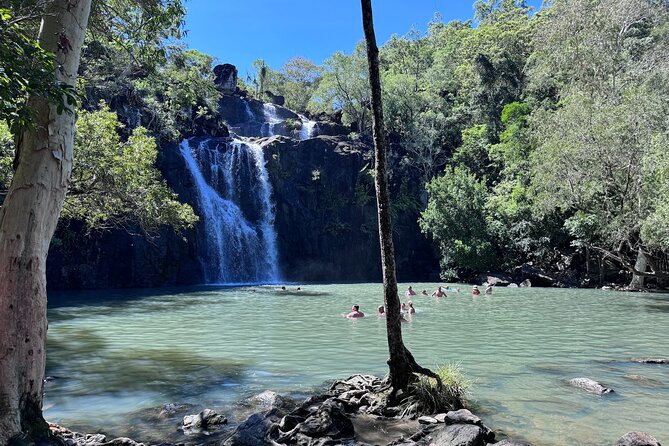 The Airlie Sightseeing Bus – (Cruise-Ship Friendly) - A compact way to see Airlie beyond the lagoon