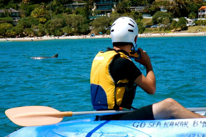 The Byron Bay Sea Kayak Tour - Why the dolphins and whales make this Byron Bay trip special