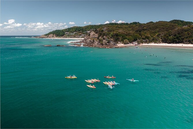 The Byron Bay Sea Kayak Tour - The guides, safety, and wildlife etiquette