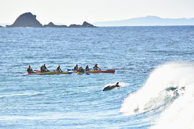 The Byron Bay Sea Kayak Tour - The beach lesson and the tandem kayaks