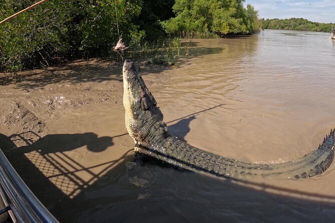 The Croc Bus to the Famous Jumping Crocodile Cruise - Safety, comfort, and the family factor