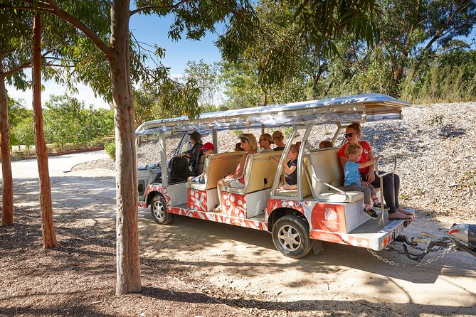 The Explorer - Cranbourne Gardens - Key points to know before you ride