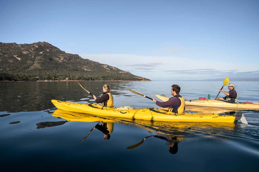 The Freycinet Paddle Kayak Tour - Wildlife watching from water level