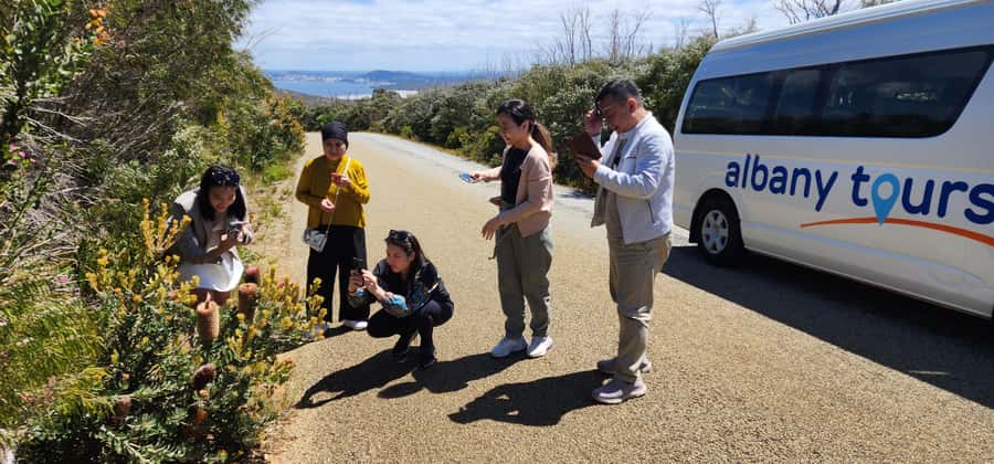 The Gap & Natural Wonders Tour - The harbor, wind farm, and final Albany views