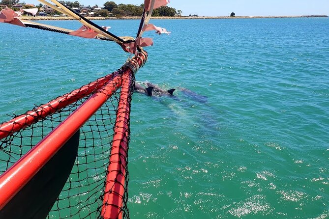 The Pirate Cruise in Mandurah on Viator - A short cruise through Mandurah’s canals
