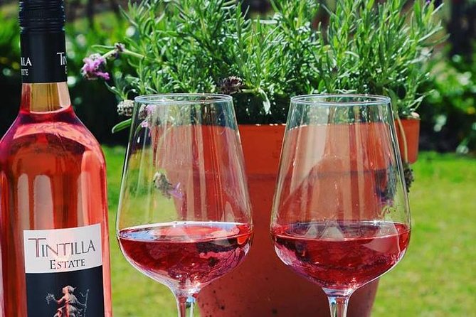 Tintilla Estate: Wine Tasting with a Meat and Cheese Platter - The platter makes this more than a cellar-door sample