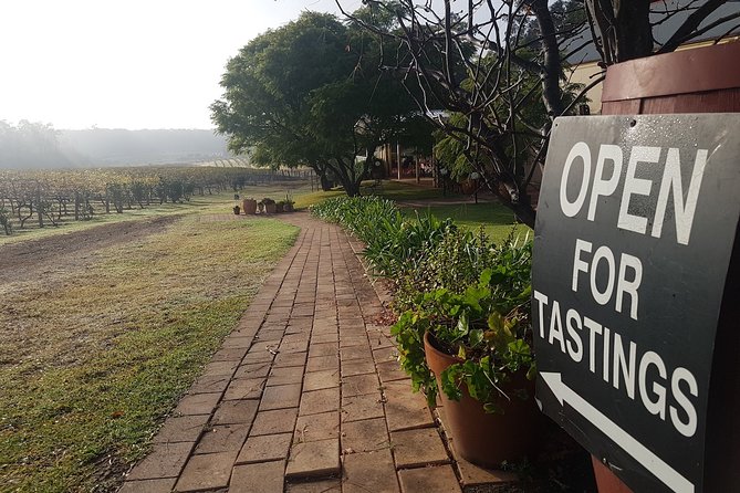 Tintilla Estate: Wine Tasting with a Meat and Cheese Platter - Why the one-hour length works