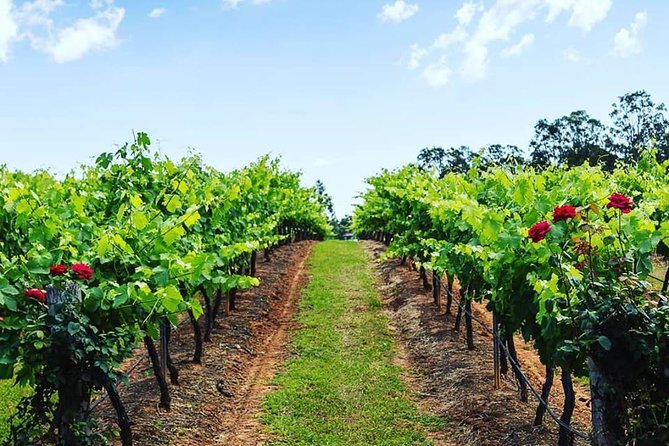 Tintilla Estate: Wine Tasting with a Meat and Cheese Platter - Weather can change the experience
