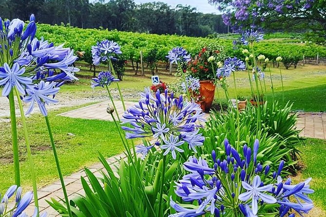 Tintilla Estate: Wine Tasting with a Meat and Cheese Platter - A few smart ways to enjoy the tasting