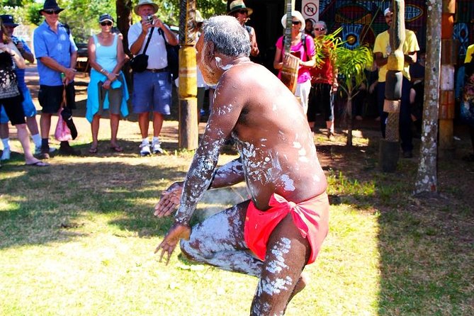 Tiwi By Design Day Tour - Morning tea, lunch, and the rhythm of the day