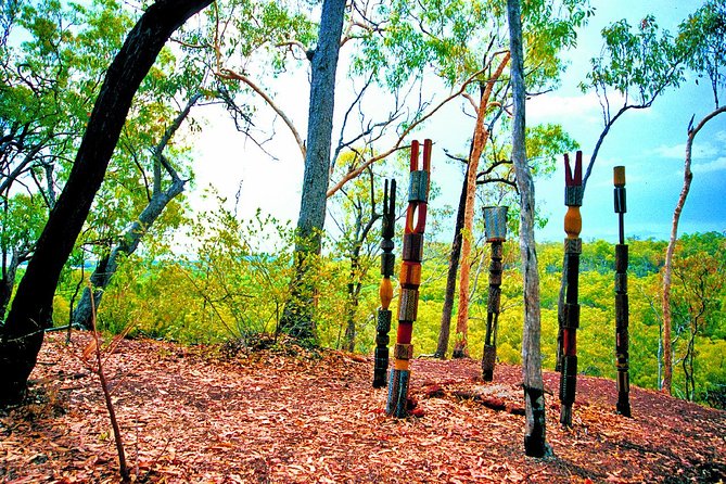 Tiwi Islands Cultural Experience from Darwin Including Ferry - Arriving in Wurrumiyanga with a local guide