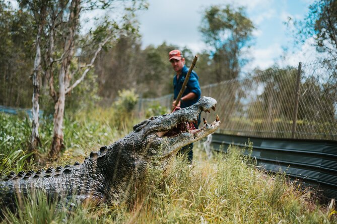 Top End Safari Camp Day Tour - Feeding the rescued crocodiles