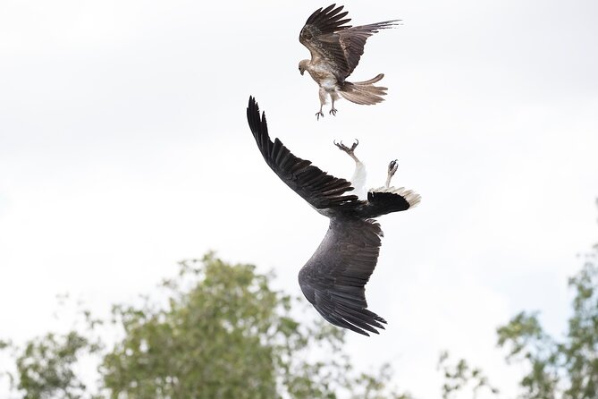 Top End Safari Camp Day Tour - What you are really paying for