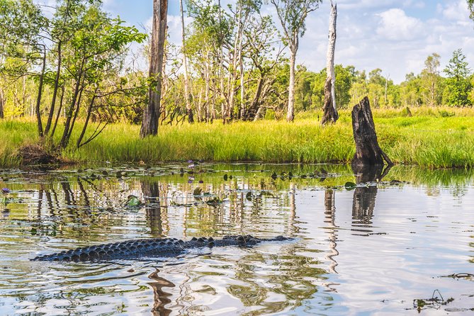 Top End Safari Camp Overnight Tour - Dinner and a night in a Lotus Belle tent