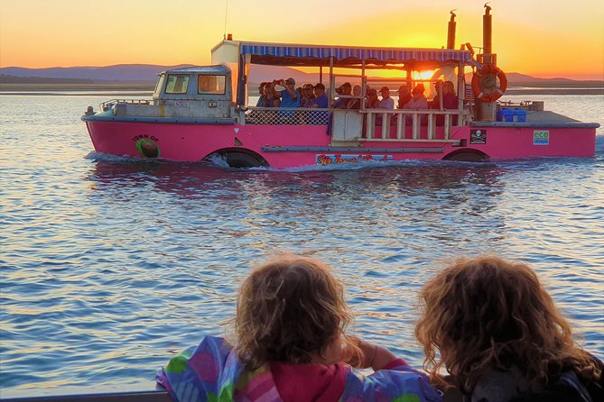 Town of 1770 Afternoon Cruise - What the wildlife experience is really like