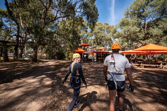 Tree Top Activity for Thrill Seekers and Adventurers in Adelaide - Is $85 fair value?