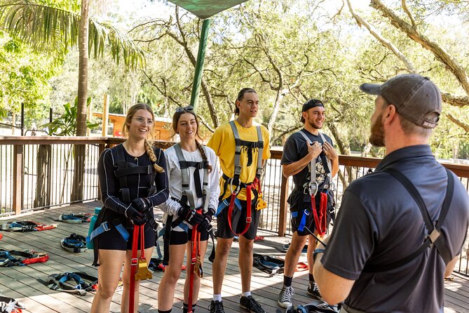 TreeTop Challenge Currumbin Wildlife Park - Is $50.21 good value?