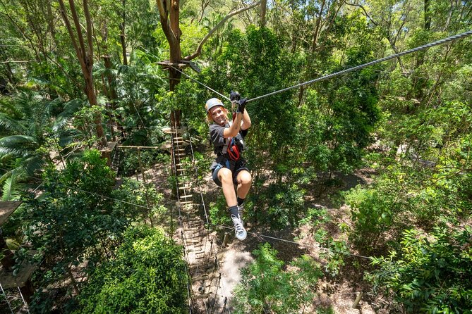 TreeTop Challenge Currumbin Wildlife Park - Who will enjoy this most?