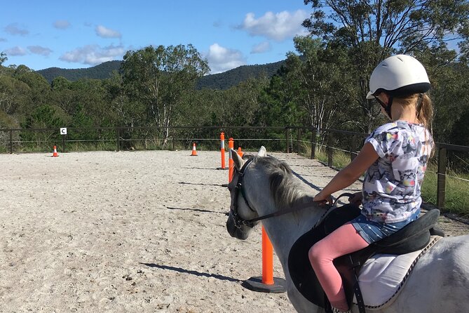 Trevena Glen 1hr Animal Tour - Why the one-hour format works for families