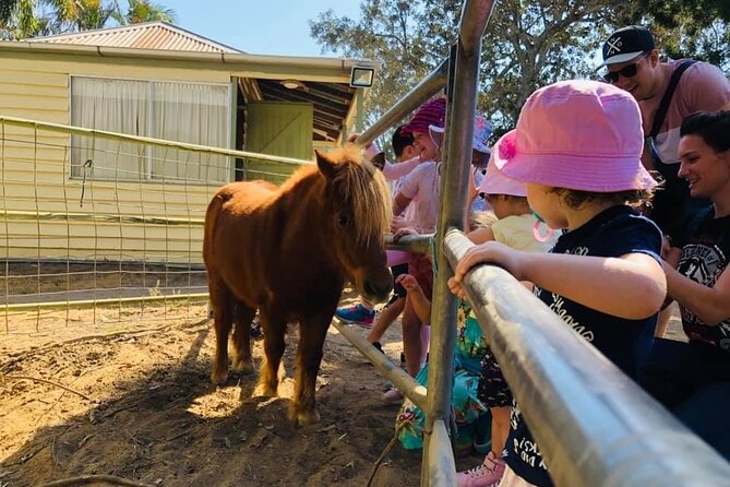 Trevena Glen 1hr Animal Tour - Extra farm features to know about