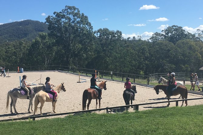 Trevena Glen 1hr Animal Tour - Is $46.62 good value for one hour?