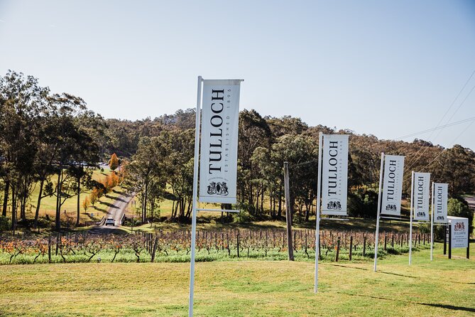 Tulloch Wines Hunter Heroes Wine Tasting with Local Cheese & Charcuterie Board - What the private format changes