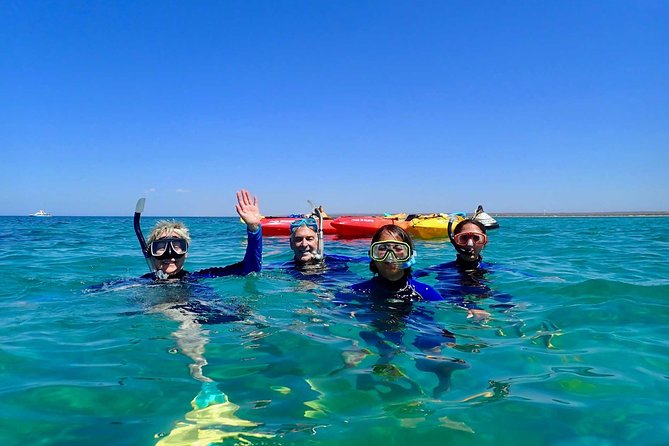 Turtle Tour - Ningaloo Reef Half Day Sea Kayak and Snorkel Tour - Key points to know before booking
