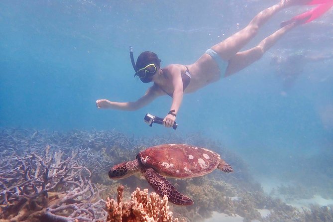 Turtle Tour - Ningaloo Reef Half Day Sea Kayak and Snorkel Tour - Turtles, rays, fish, and the chance of reef sharks