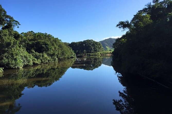 Ultimate Daintree Rainforest Wildlife Experience Cruise - Why the Daintree River is the right place to look
