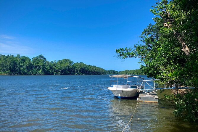 Ultimate Daintree Rainforest Wildlife Experience Cruise - Who will enjoy this river cruise most?