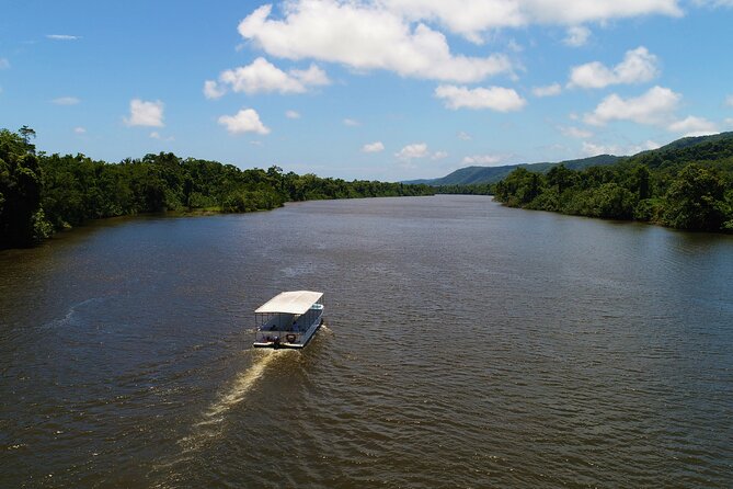 Ultimate Daintree Rainforest Wildlife Experience Cruise - Starting at the Lower Daintree visitor center