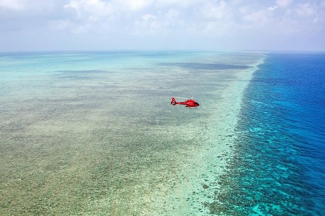 Ultimate Great Barrier Reef and Rainforest 45-minute Helicopter Tour - What the helicopter experience feels like