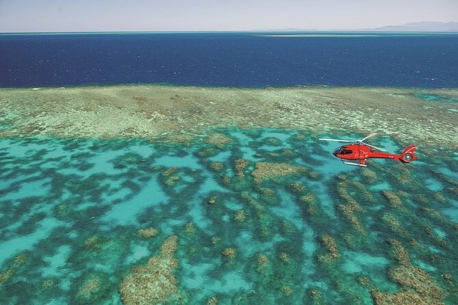 Ultimate Great Barrier Reef and Rainforest 45-minute Helicopter Tour - Is $451.29 a fair price?