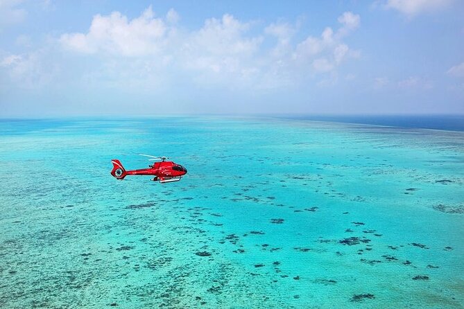 Ultimate Great Barrier Reef and Rainforest 45-minute Helicopter Tour - Weight rules and practical planning