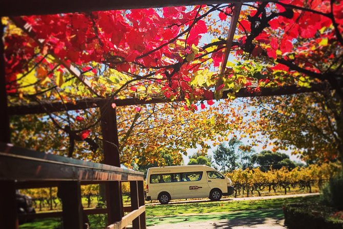 Ultimate Swan Valley Food and Wine Day Trip from Perth - The guides can make or break the day