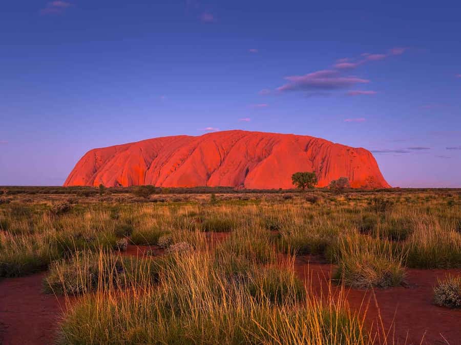 Uluru: 4-Day Rock to Rock Adventure Tour - Day three: Kings Canyon’s Rim Walk
