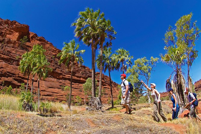 Uluru (Ayers Rock) Sunset + Outback Barbecue Dinner & Star Talk - Is $225.21 a fair price?