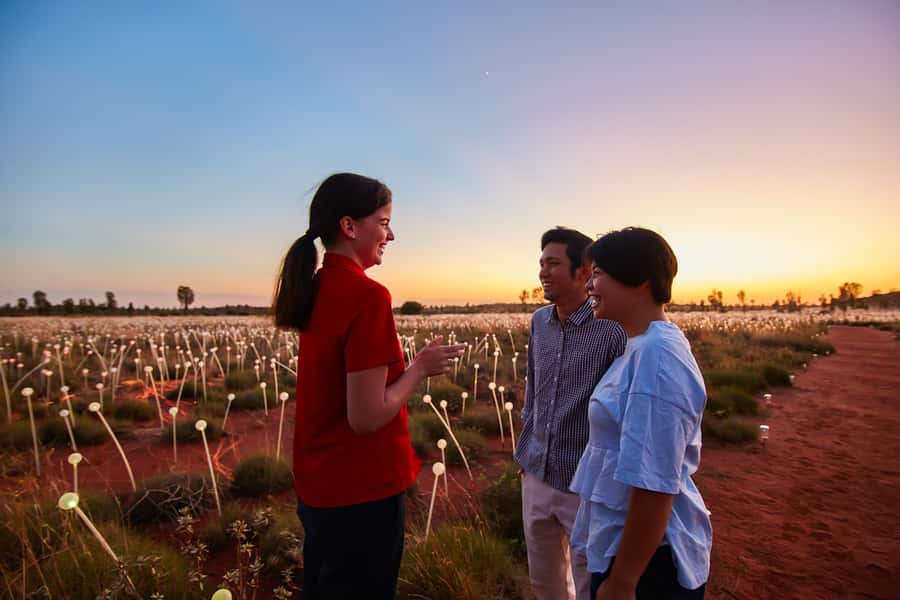 Uluru: Field of Light Sunrise Tour with Hot Drinks - Key points at a glance