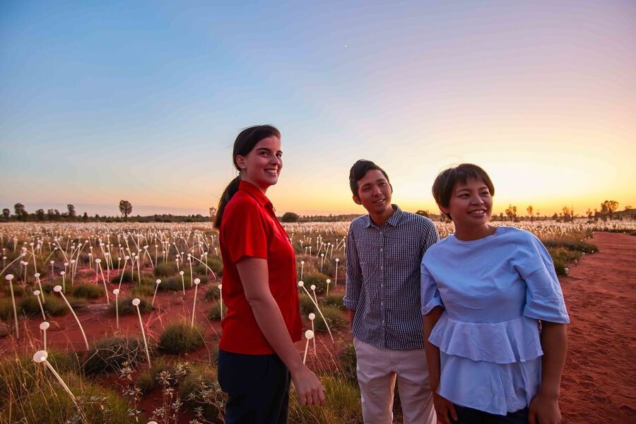 Uluru: Field of Light Sunrise Tour with Hot Drinks - Booking details that matter