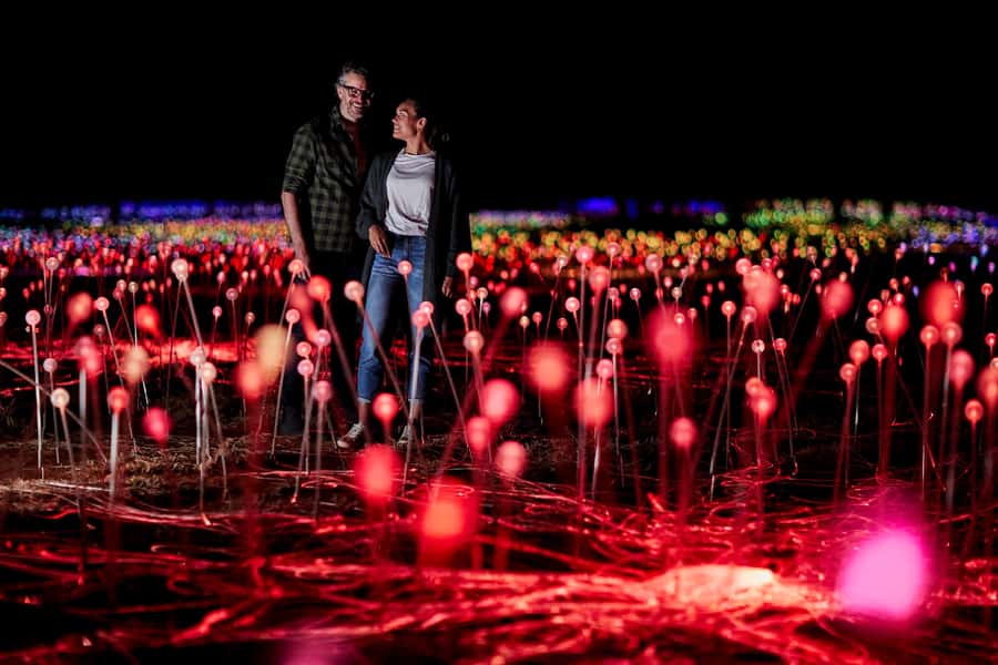 Uluru: Field of Light Sunrise Tour with Hot Drinks - Walking through 50,000 lights