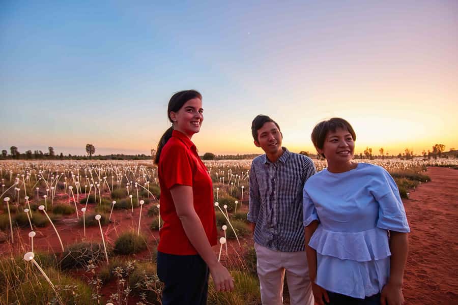 Uluru: Field of Light Sunrise Tour with Hot Drinks - The climb to Dune Top