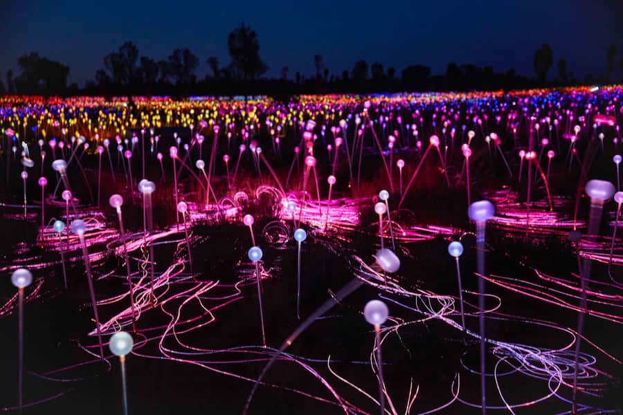 Uluru: Field of Light Sunrise Tour with Hot Drinks - How cold is the early morning?