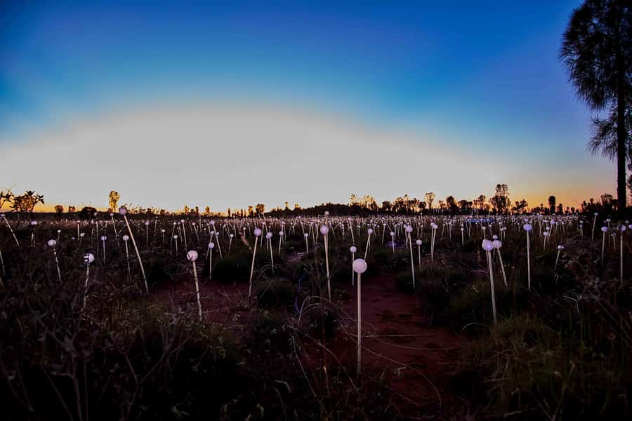 Uluru: Field of Light Sunrise Tour with Hot Drinks - What the two-hour schedule feels like