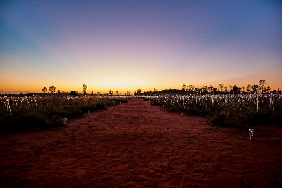 Uluru: Field of Light Sunrise Tour with Hot Drinks - Is $91 good value?