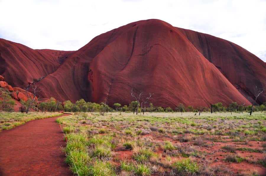 Uluru: Sacred Sites & Sunset Tour with Wine & Cheeseboard - Why this five-hour Uluru outing works