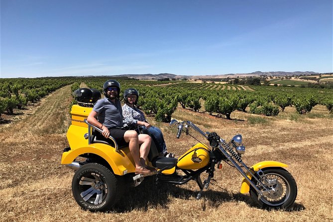 Unique Trike Barossa Valley Half Day Private Tour For 2 - Food, breweries, and valley views
