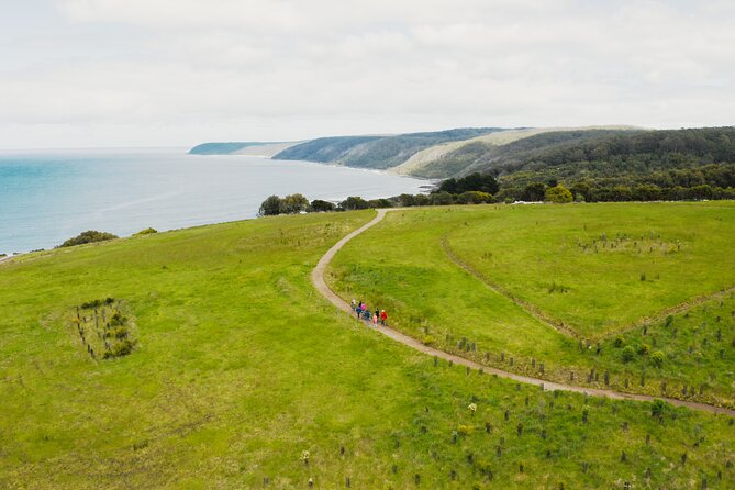 Walk with Wildlife: Guided Tour in Great Ocean Road - Who will enjoy this guided walk most?