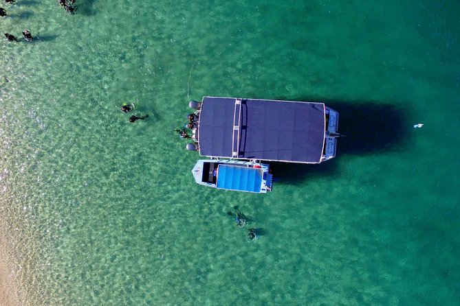 Wave Break Island Scuba Diving on the Gold Coast - What certified scuba participants should clarify