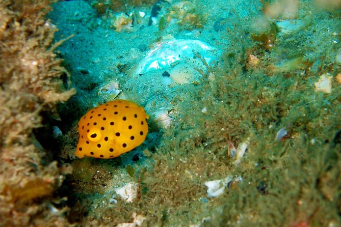 Wave Break Island Scuba Diving on the Gold Coast - The crew can make or break the morning